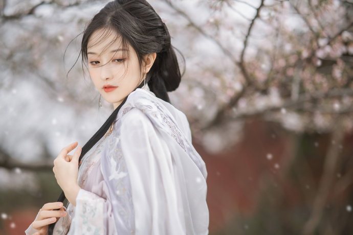 鹿鼎记2神龙教 封面